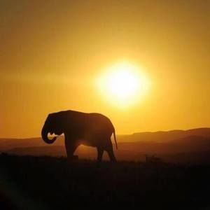 Meet your Posher, Faviola